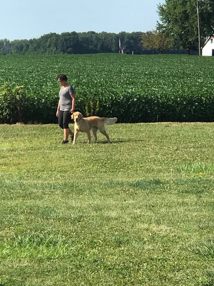 DAYTON DOG TRAINER 18 Reviews 770 Preble County Line Rd 5, West
