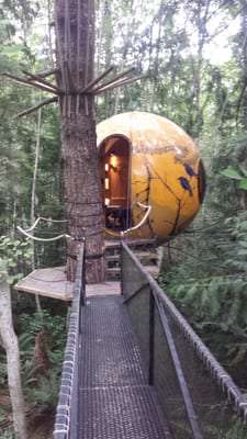 Free Spirit Spheres inc. by null