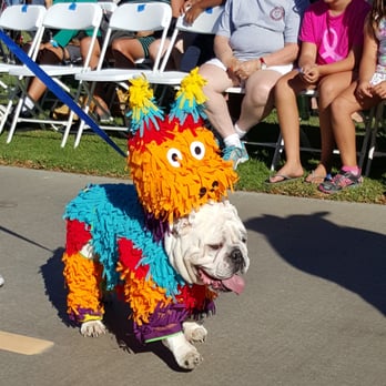 Marina Vista Park - Bulldog Piñata - Parks Near Me - Long Beach, California Marina Vista Park - Bulldog Piñata - Parks Near Me - Long Beach, California