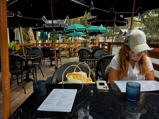 230 Forest Avenue by null