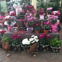 Heyne's Nurseries - Ready for Mothers Day!