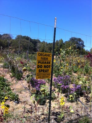Indian Valley Campus Organic Farm and Garden by null