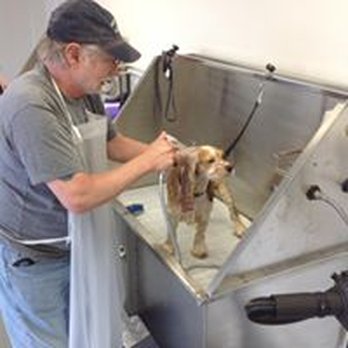 u Do Dog Wash - Photos - Pet Groomers Near Me - Waco, Texas u Do Dog Wash - Photos - Pet Groomers Near Me - Waco, Texas