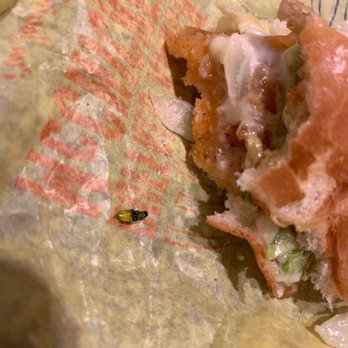 McDonald's - Looks like a firefly. It was in the mayonnaise. Good thing I saw the legs sticking out. - Burgers Near Me - Denison, Iowa
