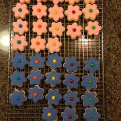 Northwest Cakes
