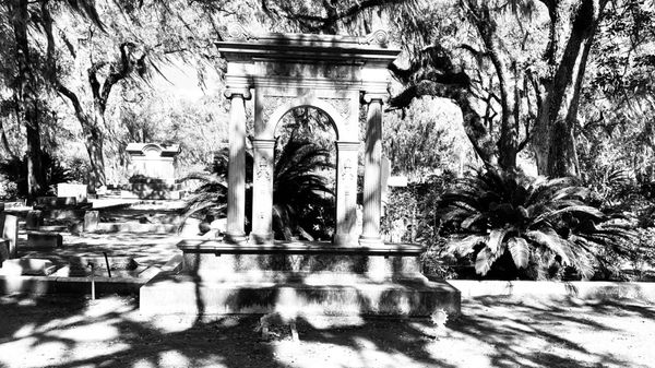 Bonaventure Cemetery by null