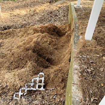 Ness Stump Grinding - Tree Services Near Me - Dallas, Georgia
