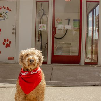 All Paws Pet Wash - Pet Groomers Near Me - Altoona, Wisconsin All Paws Pet Wash - Pet Groomers Near Me - Altoona, Wisconsin