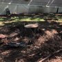 Photo of Jackson Construction