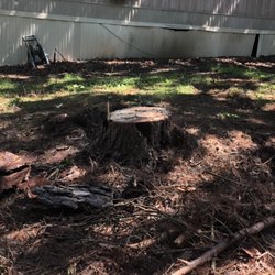 Jackson Construction - Tree down