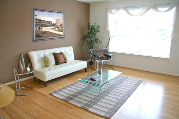 Festival Park by null