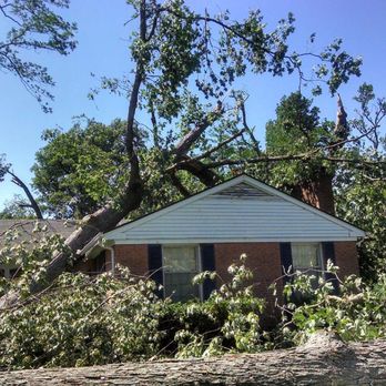 Callender Tree Service - Tree Services Near Me - Rockford, Michigan Callender Tree Service - Tree Services Near Me - Rockford, Michigan
