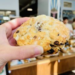 Batch Bakehouse - Lemon currant scone