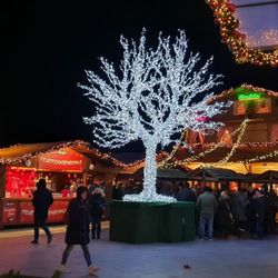 Rostocker Weihnachtsmarkt - Rostocker Weihnachtsmarkt