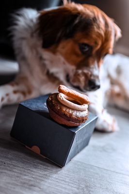 The Salty Donut by null