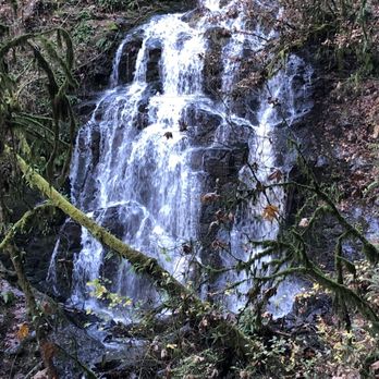 Lacamas Creek Trail - Hiking Near Me - Camas, Washington Lacamas Creek Trail - Hiking Near Me - Camas, Washington
