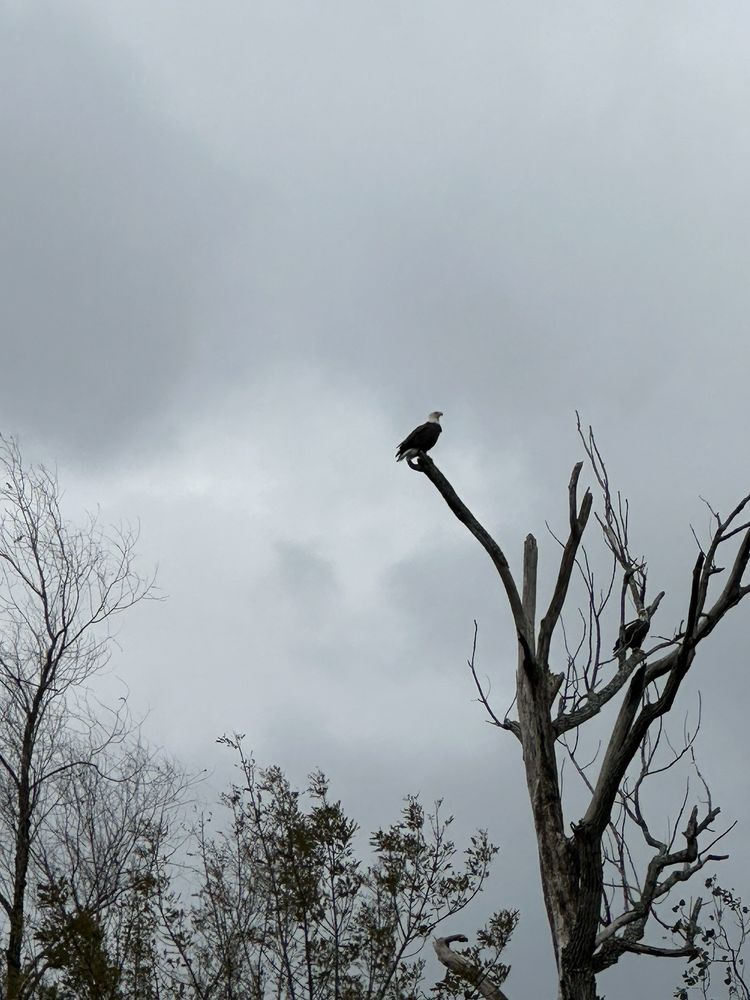 Social spots from The Last Wilderness Swamp Tour