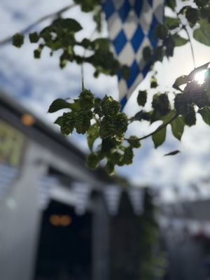 StormBreaker Brewing by null