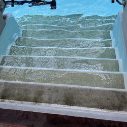 Molitor - More algae?