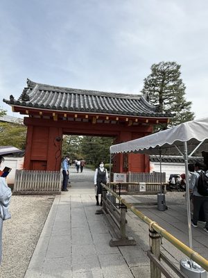 Byōdo-in Temple by null