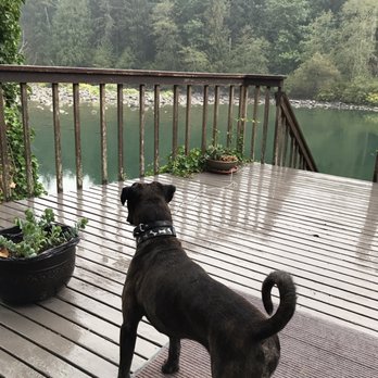 Harmony Lodge Cabin Rentals - Vacation Rentals Near Me