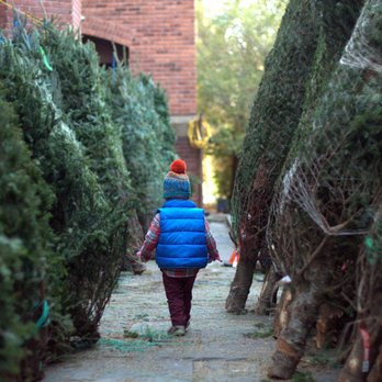Old First Nursery School - Child Care & Day Care Near Me - Brooklyn, New York