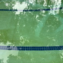 Sweetwater Pools - This is their weekly cleaning service and no response from management team except bill for not cleaning pool.