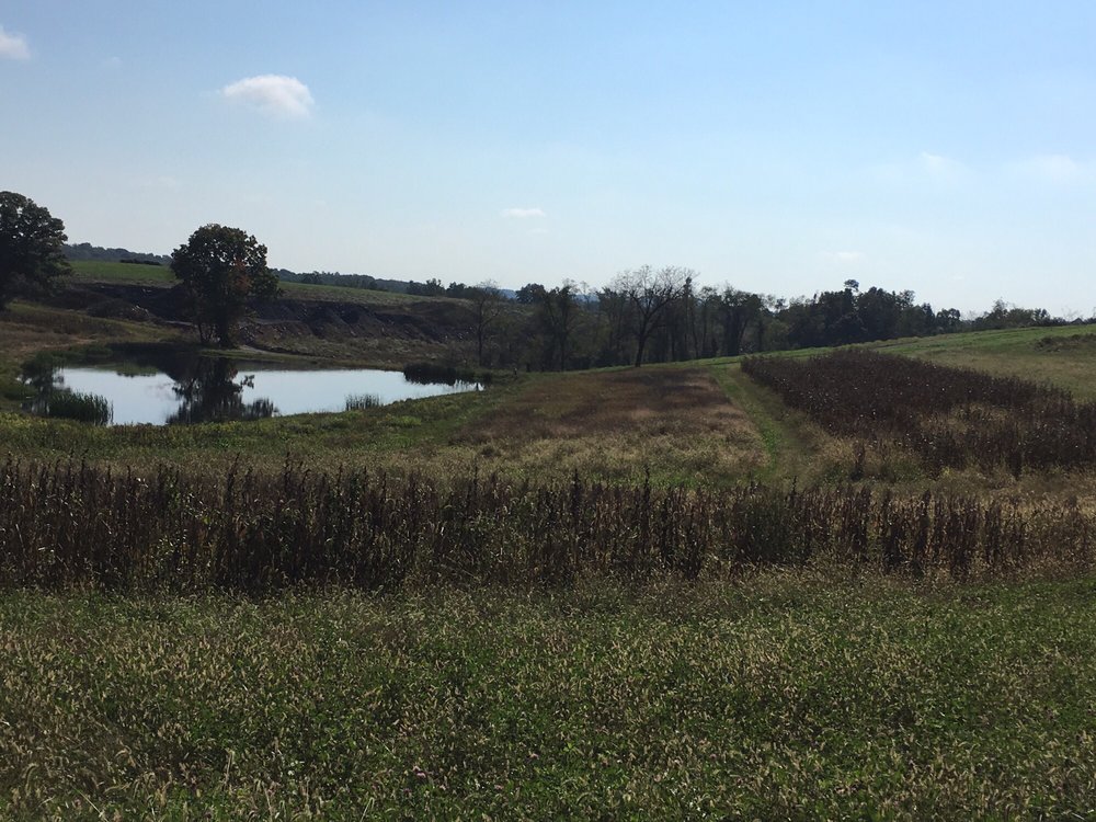 KERN FARMS Updated September 2024 434 Valley View Rd, Eighty Four, Pennsylvania Farms