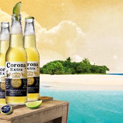 Casa Don Jose - BEER NIGHT! TUESDAY 4-9 IMPORTED & DOMESTIC