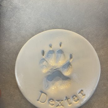 BluePearl Pet Hospital - Veterinarians Near Me - Reno, Nevada BluePearl Pet Hospital - Veterinarians Near Me - Reno, Nevada