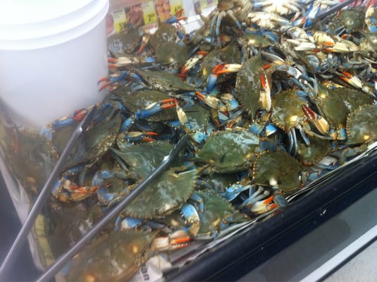 Oki's Seafood Corner Foodland by null