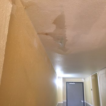 The Leak Outside Of My Apartment That Caused The Hall To Flood Yelp