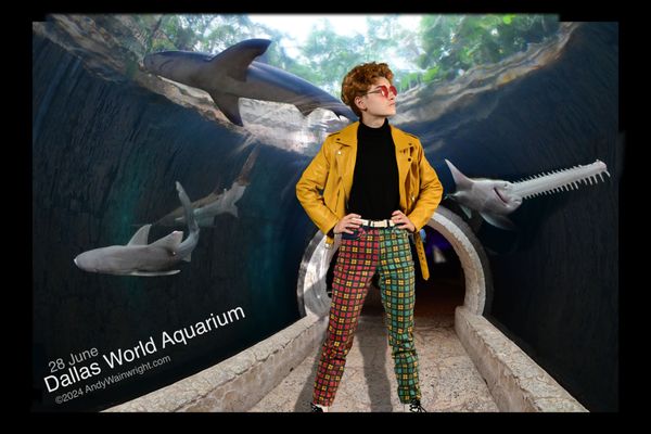 The Dallas World Aquarium by null