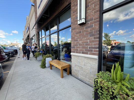 Bread & Roses by null