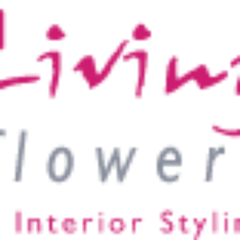 Living Flowers - Florists Near Me - Manchester, XGM Living Flowers - Florists Near Me - Manchester, XGM