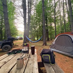 Evergreens Campground & Restaurant - Besides cabins they also have clean, spacious, beautiful tent sites