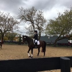 Silverwood Farm