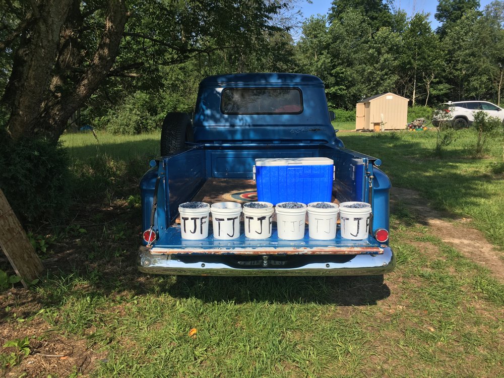 TRIPLE J BLUEBERRY FARM Updated September 2024 63186 54th Ave