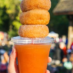Yates Cider Mill - Cider slush and donuts