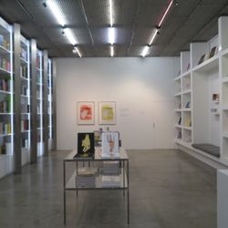 White Cube - The domestic interior of reception and a small dedication to vanity.