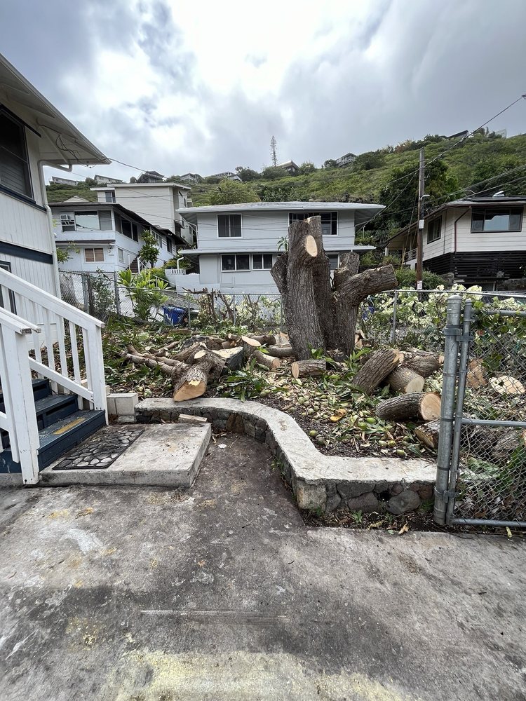 Tropical Tree Services - tree service in Honolulu, HI