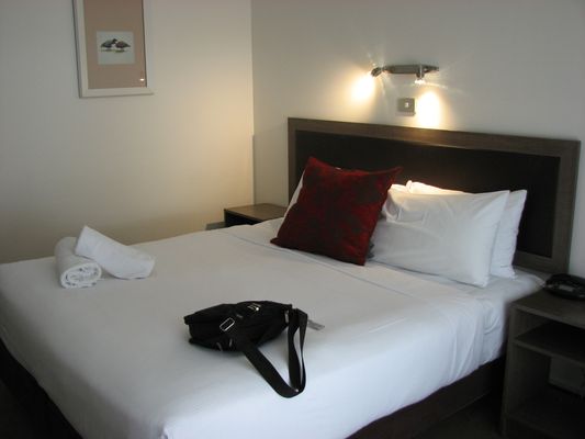 The Hermitage Hotel by null