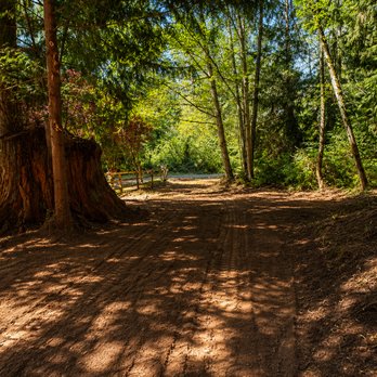 Yeet It - Sticker bush removal, tree removal and road prep - Junk Removal & Hauling Near Me - Snohomish, Washington Yeet It - Sticker bush removal, tree removal and road prep - Junk Removal & Hauling Near Me - Snohomish, Washington