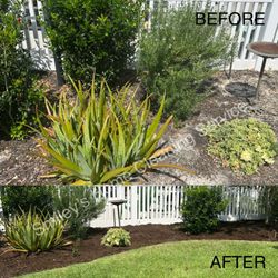 Smiley’s Home Cleaning Services - Garden maintenance can be done with our services. Mulching, watering, weeding, planting, even pet waste removal!