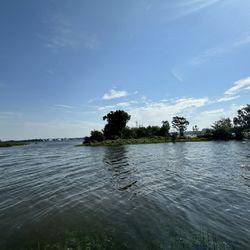 Dyke Marsh