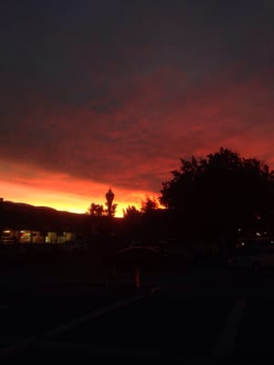 Healdsburg Plaza by null