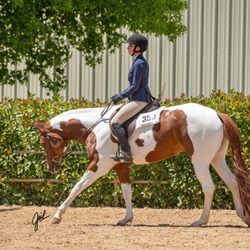 Crysta Brown Horsemanship