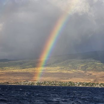 Sea Maui - Boat Charters Near Me - Lahaina, Hawaii Sea Maui - Boat Charters Near Me - Lahaina, Hawaii