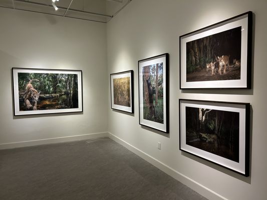 The Florida Museum of Photographic Arts by null