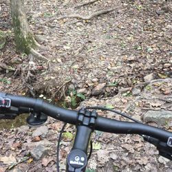 Fairfax County's Cross County Trail - How do I bike over this?